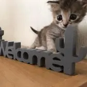 cocoʕ•ᴥ•ʔ