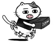 猫宅の画像