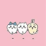 ハチワレ※プロフィールご確認お願いしますの画像