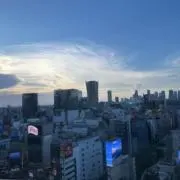 Peeeeの画像