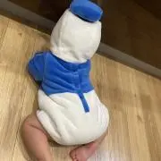 あきゃねんの画像