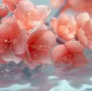 フラワーの画像