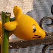 なしたろうの画像