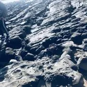りょう