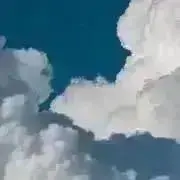 さめ【まとめ買い可能】の画像