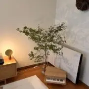 観葉植物研究室の画像