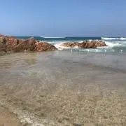 misatoの画像
