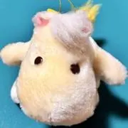 フローレンの画像