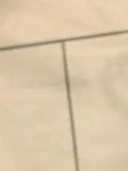 味ぽん