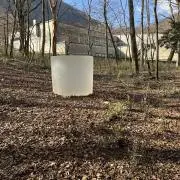 takeshimazuの画像