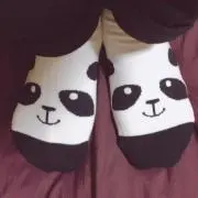 ぱんだ