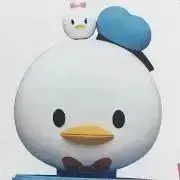 ファーズの画像