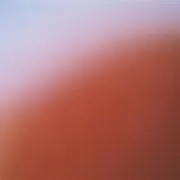 Dinaの画像