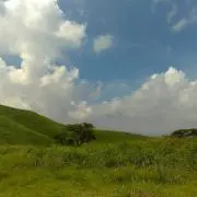 tomoの画像
