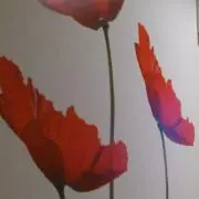 はち