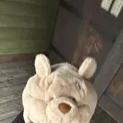 るなの画像