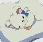 ゆきみだいふくの画像