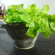 コトミツ