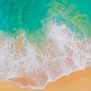 しゅがの画像