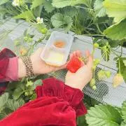 MAIの画像