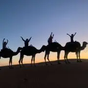 Mikityの画像