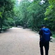 Kamoの画像
