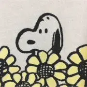 すぬの画像