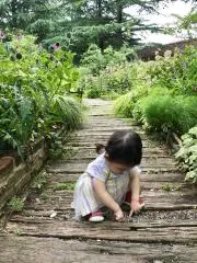 さやの画像
