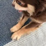 おなかいっぱいの画像