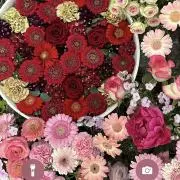 YUKA’s Shopの画像