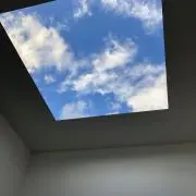 のんのの画像