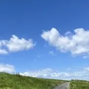 Tearの画像