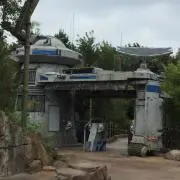 キンカンの画像