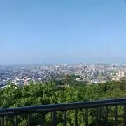 ニコリの画像
