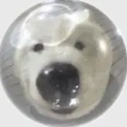 ゆきの画像