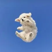 sの画像