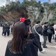 Miraの画像