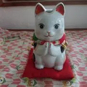 まねきねこ♪の画像
