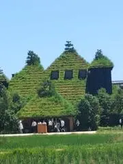 ☆☆☆の画像