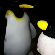 ペンたん