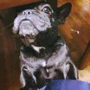 mikiの画像