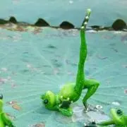 カエル