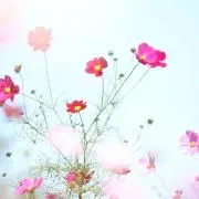 u.の画像