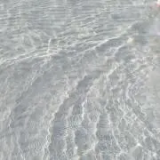 ちよの画像