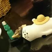 ちぃの画像