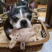 きこ