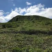 にしん