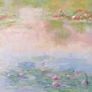 momoの画像
