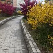 ソルラン