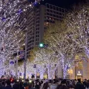 モの画像